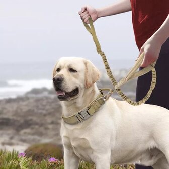 Robuste Hundeleine aus robustem Segeltuch in Schwarz, f&uuml;r den gr&ouml;&szlig;eren Hund