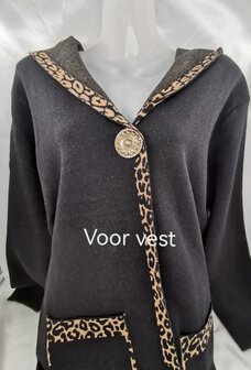 Magneet, broche, Zeeuwse knoop, Goudkleurig voor omslagdoek, sjaal en vest te sluiten.